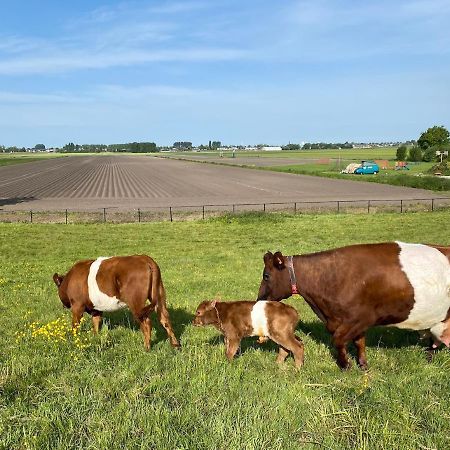 Herberg Boerderij De Straat-Hof Panzió Leimuiden Kültér fotó
