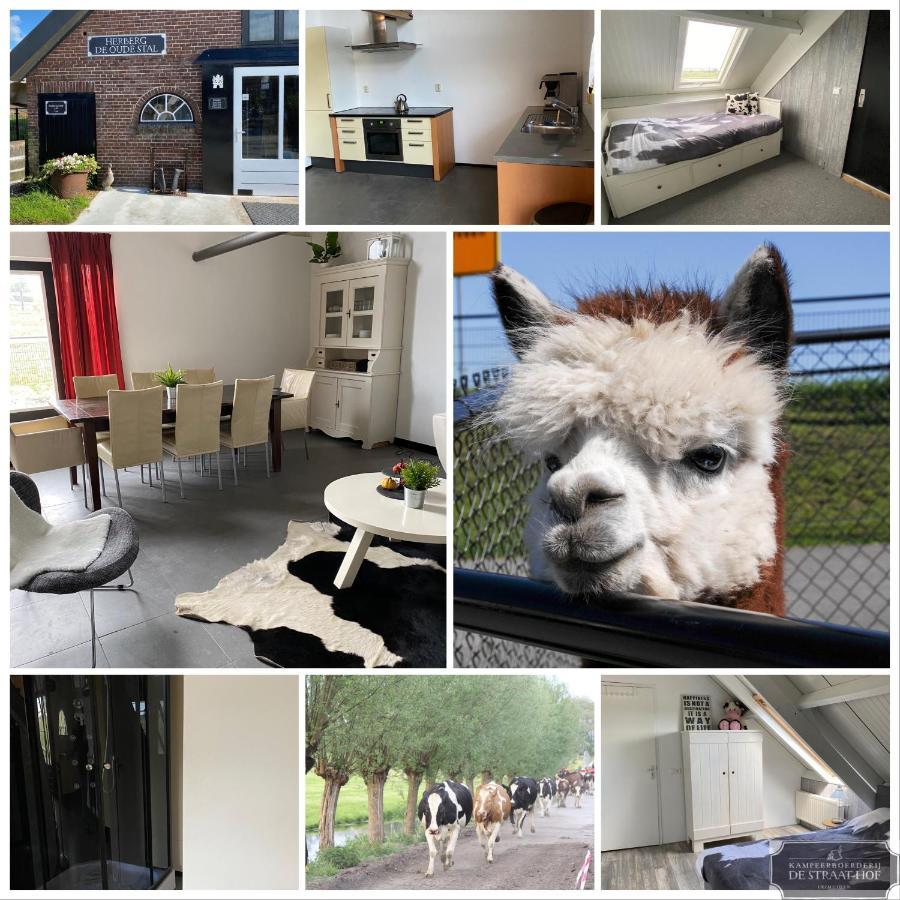 Herberg Boerderij De Straat-Hof Panzió Leimuiden Kültér fotó