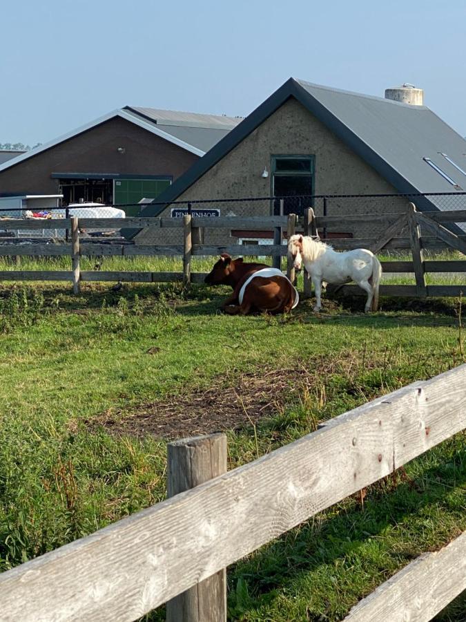 Herberg Boerderij De Straat-Hof Panzió Leimuiden Kültér fotó