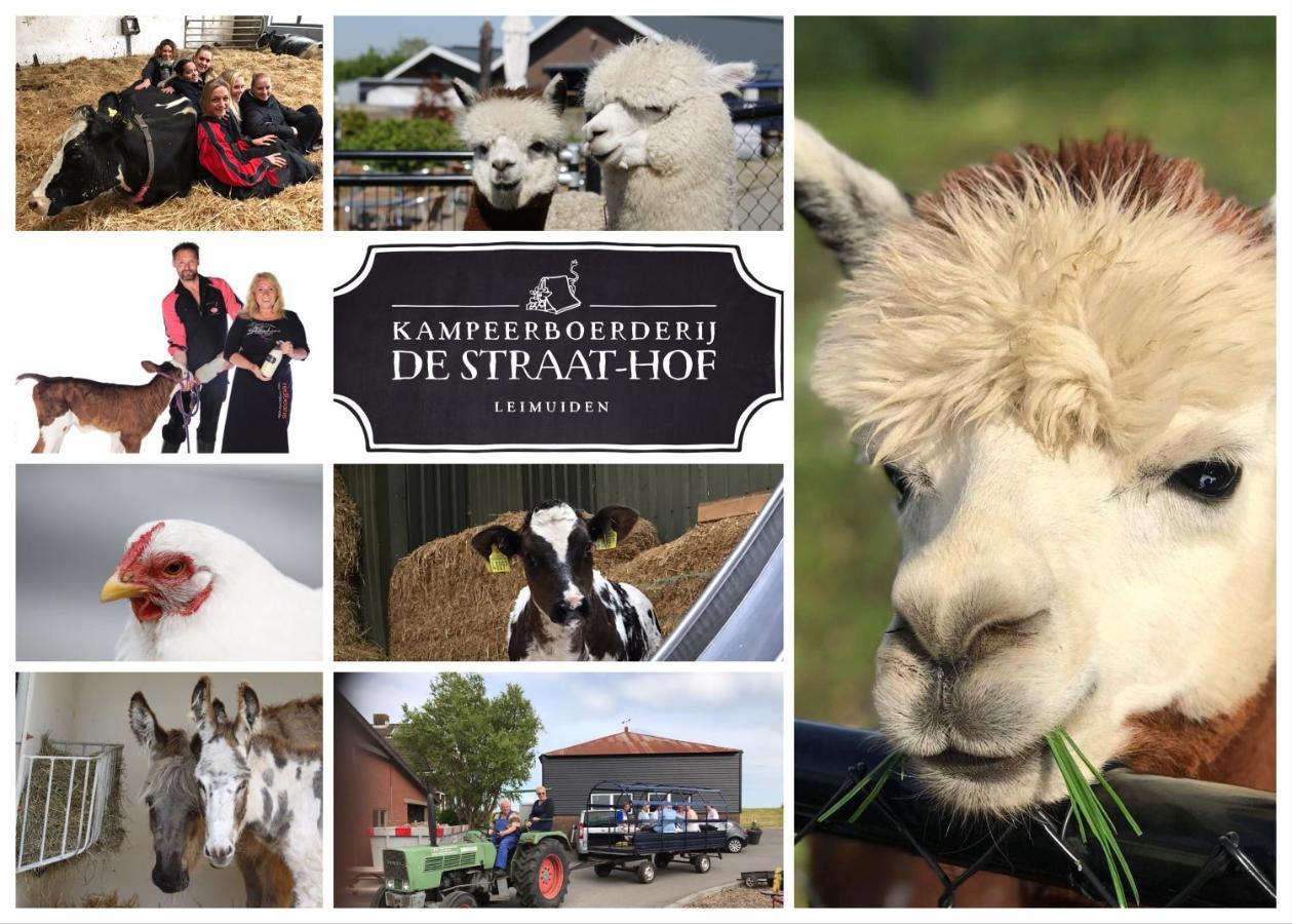 Herberg Boerderij De Straat-Hof Panzió Leimuiden Kültér fotó