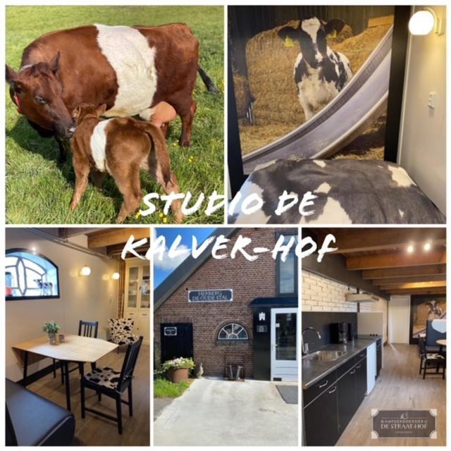 Herberg Boerderij De Straat-Hof Panzió Leimuiden Kültér fotó